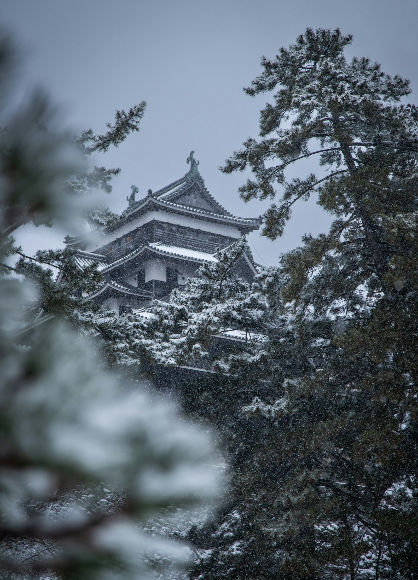 雪の森に沈む戦国の城（黒牢城のイメージ）