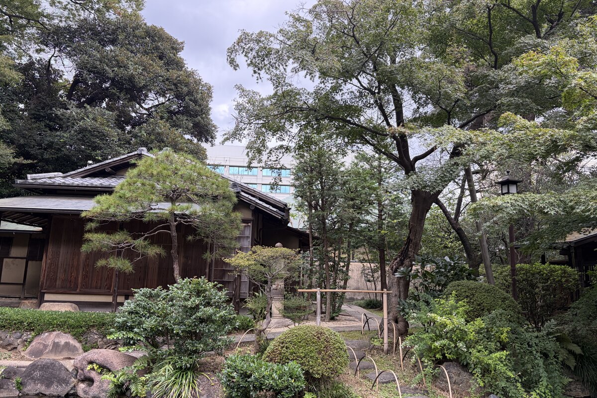 靖國神社の神池庭園。松と緑の木々の奥に茶室の屋根が見え、手前に池の石組みがある